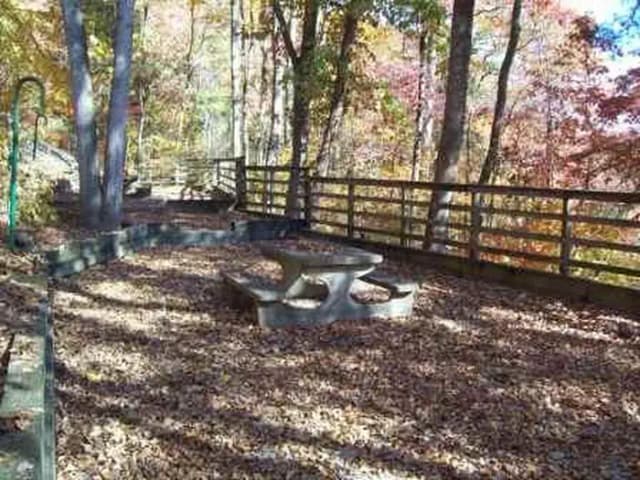 Loop FCRE · Site 44 at Fishing Creek Campground