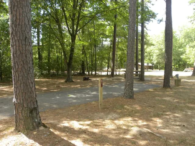 Site A01 at Piedmont Park