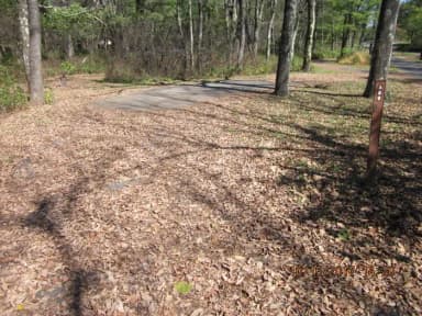 Loft Mountain Campground - Site A69