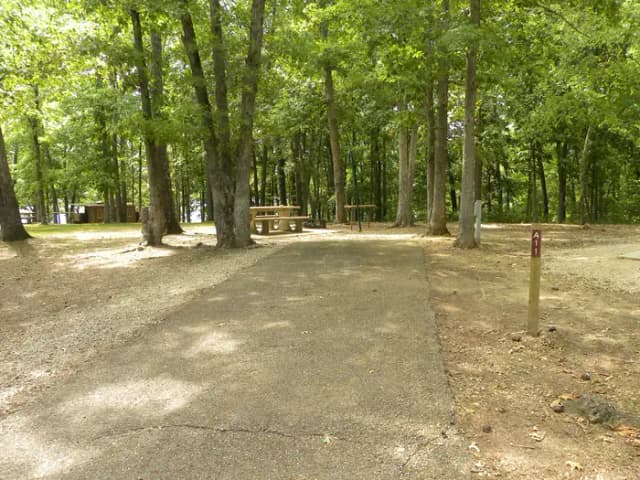 Site A11 at Piedmont Park