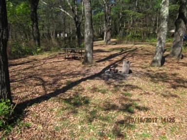 Loft Mountain Campground Site A71