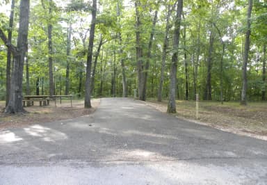 Site A25 at Piedmont Park