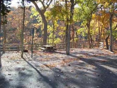 Site 06 at Fall Creek Campground