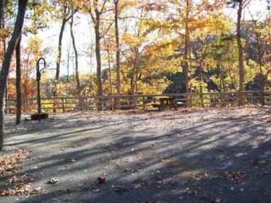 Fall Creek Campground Site 5