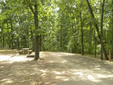 Site A44 at Piedmont Park