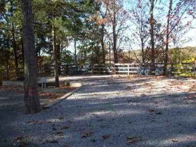 Site 08 at Fall Creek Campground