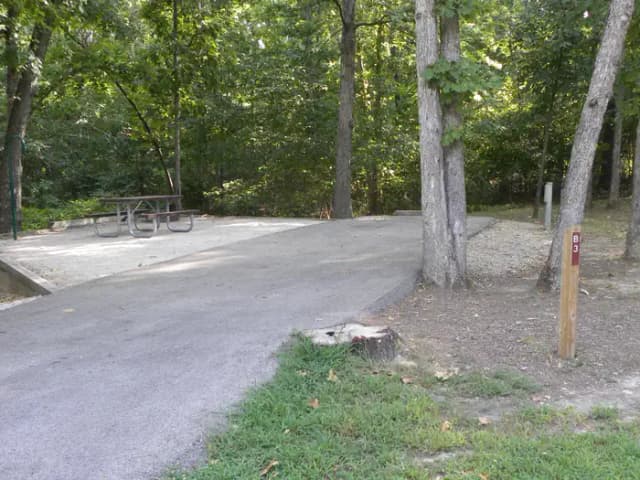 B3