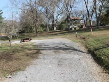 Campsite 1 Defeated Creek Campground