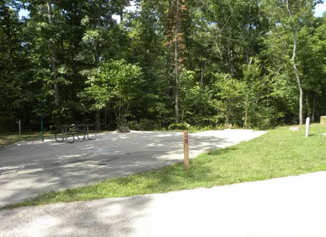 B6