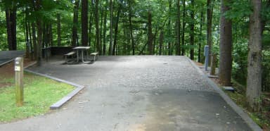 Site #49