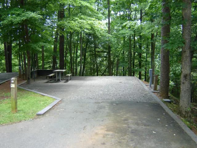 Site #49