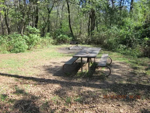 Loft Mountain Campground Site - A72