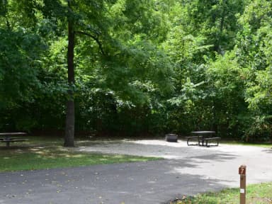 Campsite 7 showing parking spur, picnic tables, lantern post, and fire ring