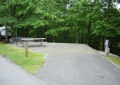 Site #50