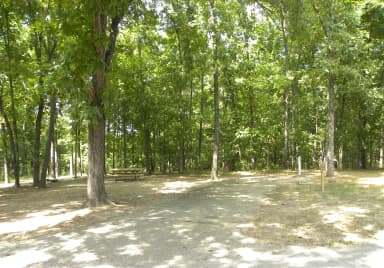 Site B13 at Piedmont Park