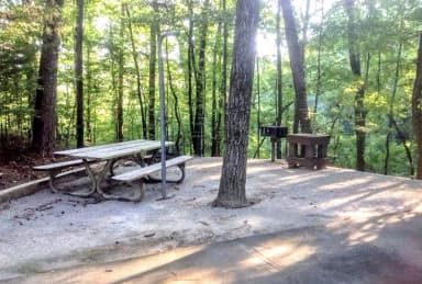 Deerlick Creek Campsite 3 Picnic Area
