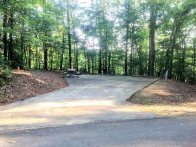 Deerlick Creek Campsite 8 Pad