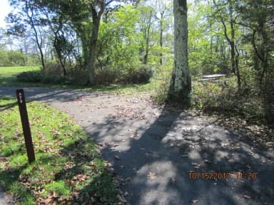 Loft Mountain Campground - Site A75