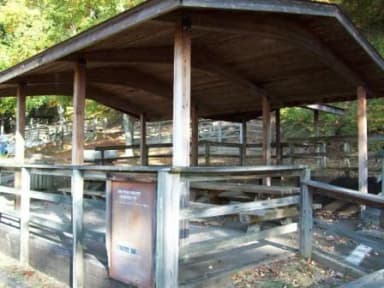 Loop WAIT · Site A100 at Waitsboro Campground