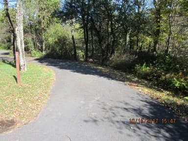 Loft Mountain Campground - Site A77
