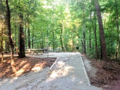 Site #9 Picnic Area