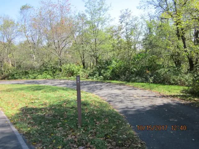Loft Mountain Campground - Site A78