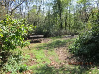 Loft Mountain Campground Site A78