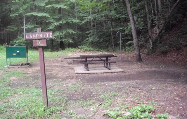 Picnic table sits on concrete pad near a green food storage locker.