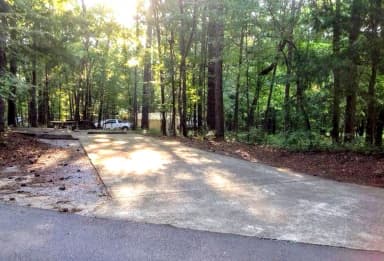 Deerlick Creek Campsite 10 Pad