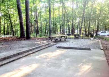 Site #10 Picnic Area