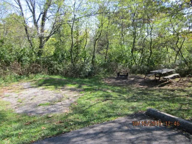 Loft Mountain Campground Site A79