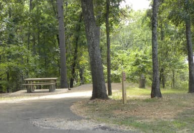 Site C17 at Piedmont Park