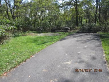Loft Mountain Campground - Site A79