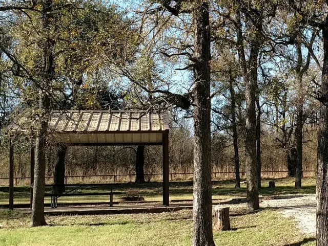 Site #12