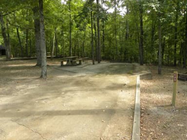 Site C20 at Piedmont Park