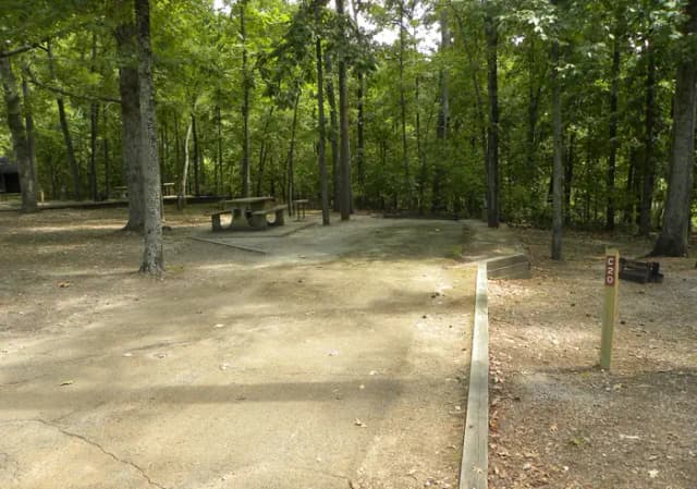 C20