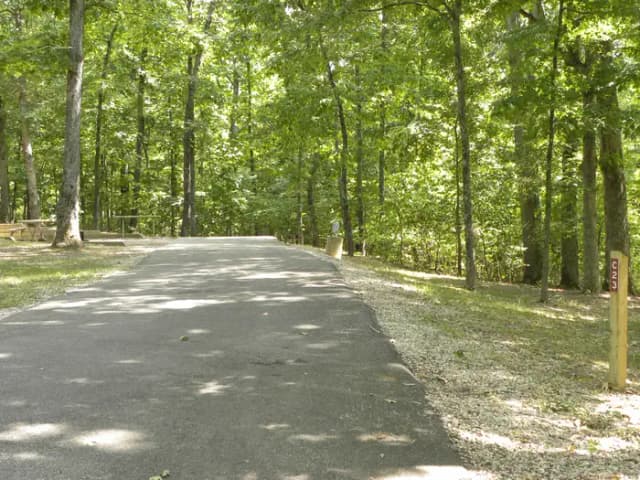 C23