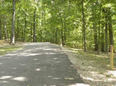 Site C23 at Piedmont Park
