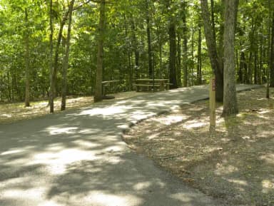 Site C26 at Piedmont Park