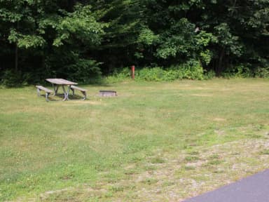 Winhall Brook N3
