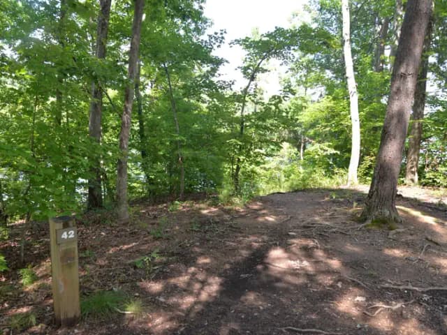 Loop WOOD · Site 042 at Woodring Campground (GA)