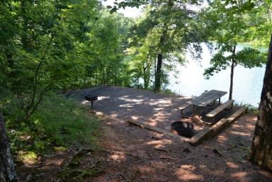 Loop WOOD · Site 042 at Woodring Campground (GA)