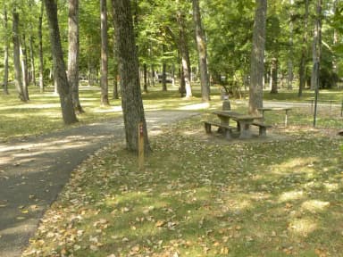 Site A06 at River Road Park