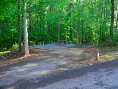 Empty Campsite