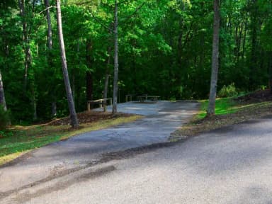 Empty Campsite