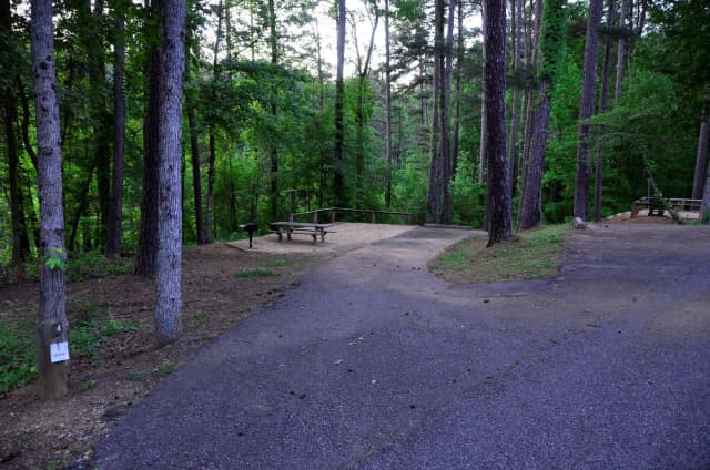 Sweetwater Campground Site 4
