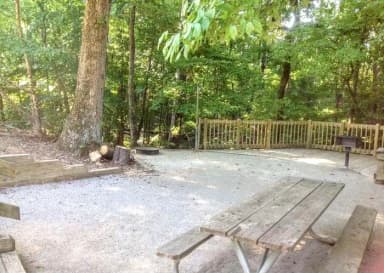 Site #19 Picnic Area