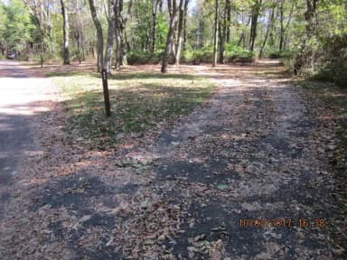 Loft Mountain Campground - Site B82