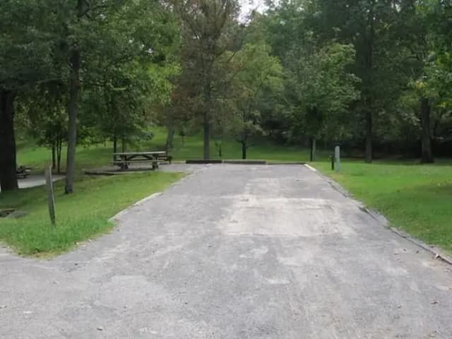 Site 41