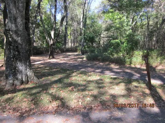 Loft Mountain Campground - Site B83